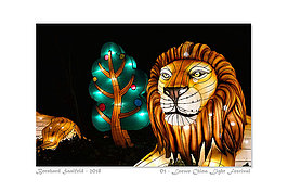 Bernhard Saalfeld - 01 - Loewe China Light Festival_800